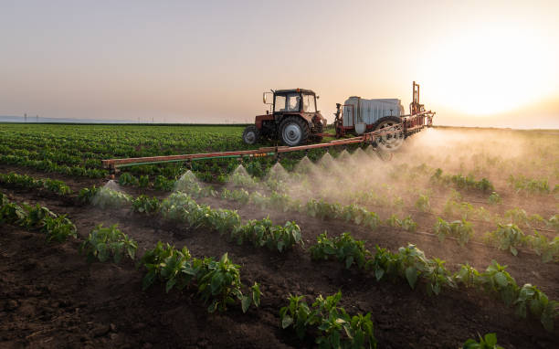 Reliable Reed Creek, GA Pest Control Solutions