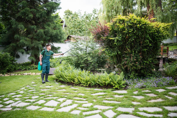 Best Affordable Pest Control Services  in Reed Creek, GA
