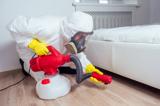 Best Affordable Pest Control Services  in Reed Creek, GA