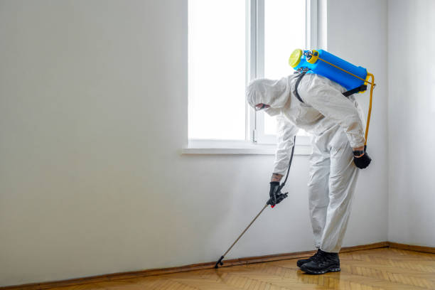 Best Cockroach Control Services  in Reed Creek, GA