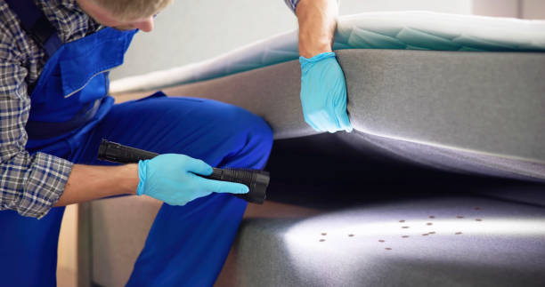 Best Cockroach Control Services  in Reed Creek, GA