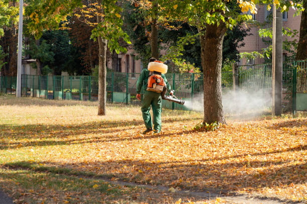 Best Best Pest Control Companies  in Reed Creek, GA
