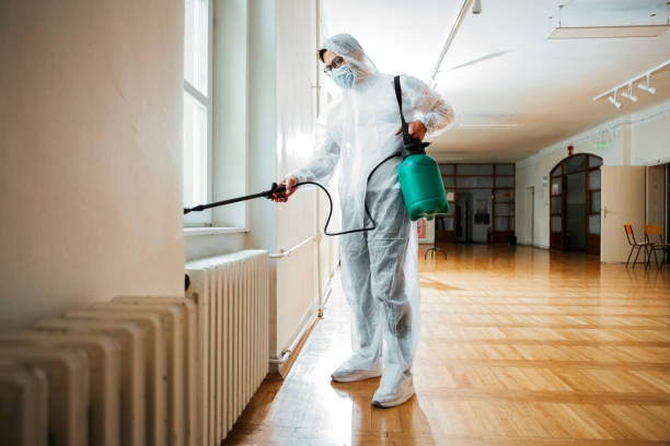 Best Best Pest Control Companies  in Reed Creek, GA