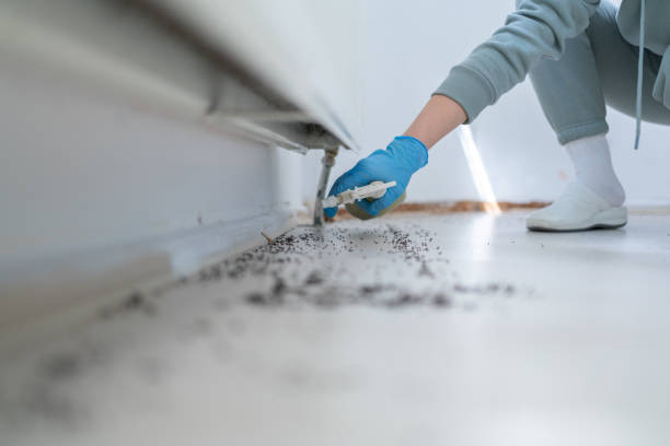 Pest Control Cost in Reed Creek, GA
