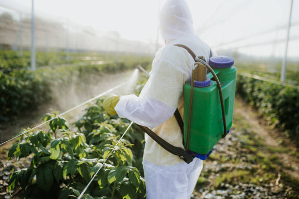 Best Bed Bug Extermination  in Reed Creek, GA